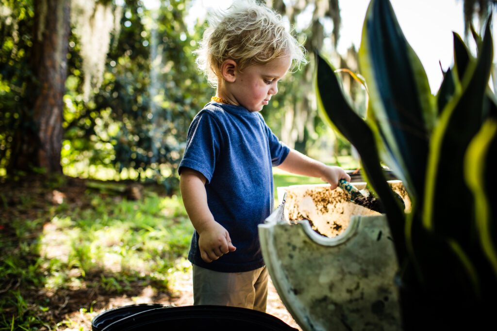 raleigh family photographer