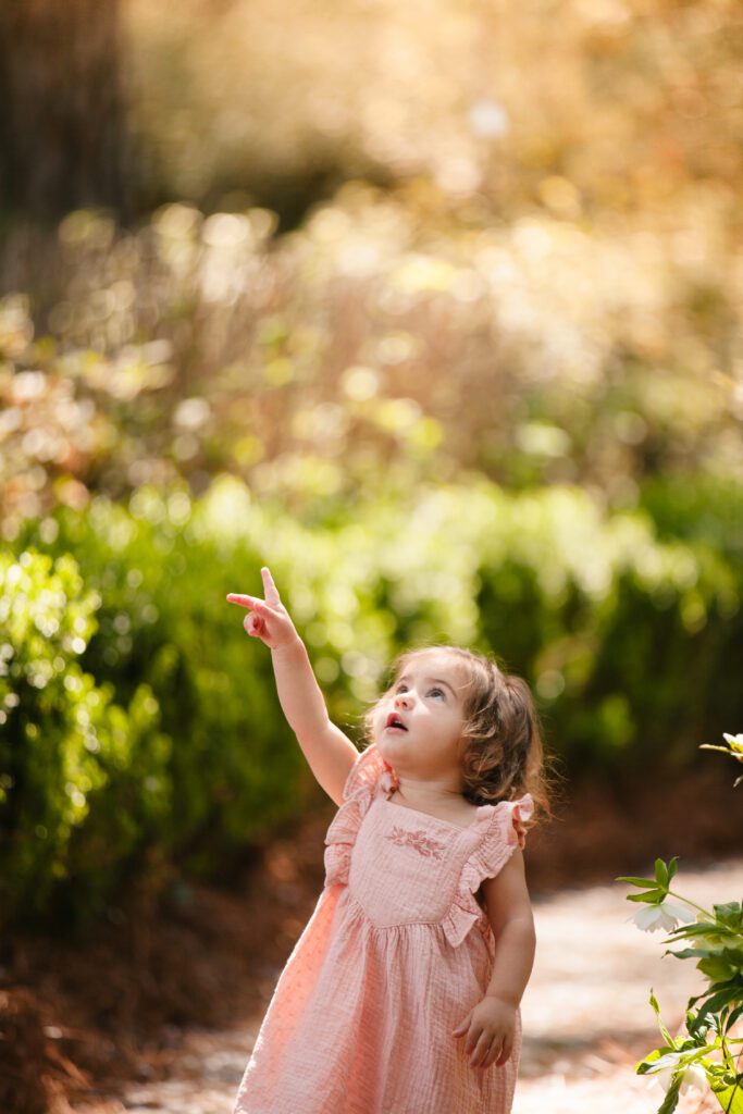 Raleigh Family Photographer