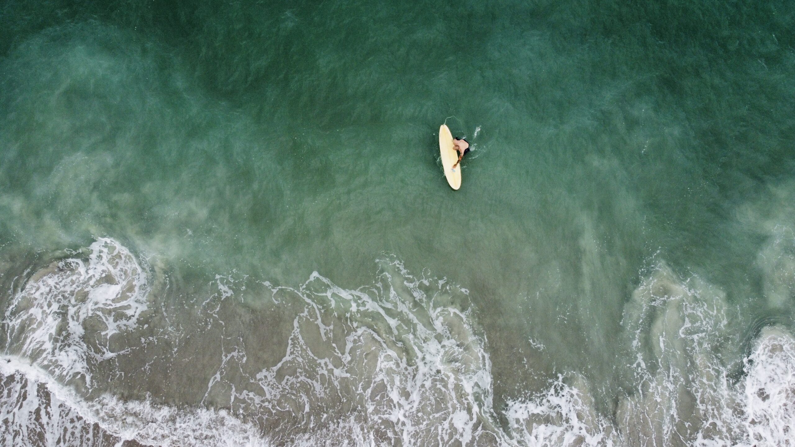 Wilmington Family Photographer