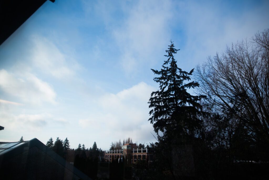 raleigh birth photographer