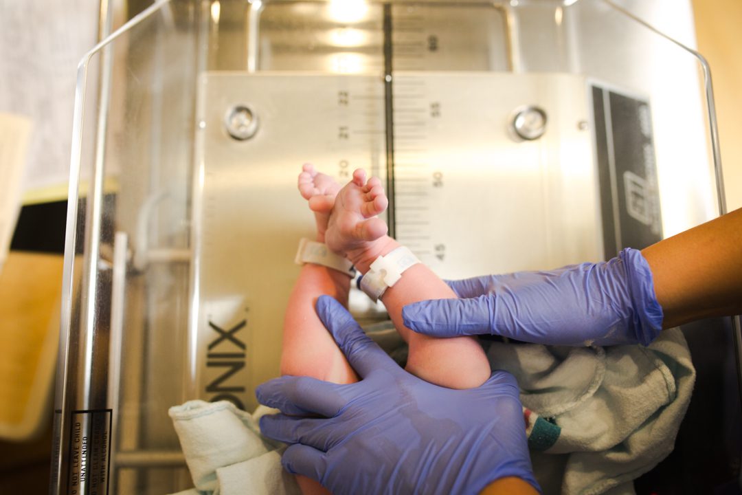 raleigh birth photography