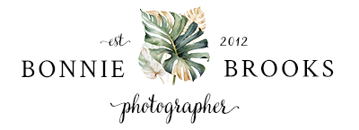 bonnie brooks raleigh birth photographer