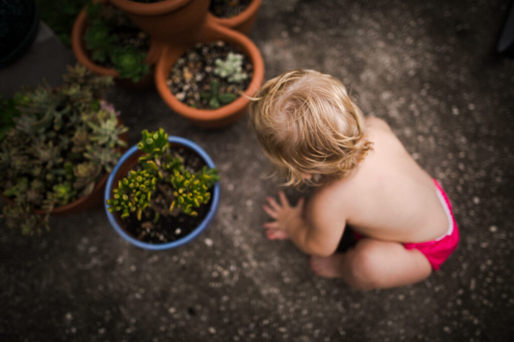 family photography in raleigh