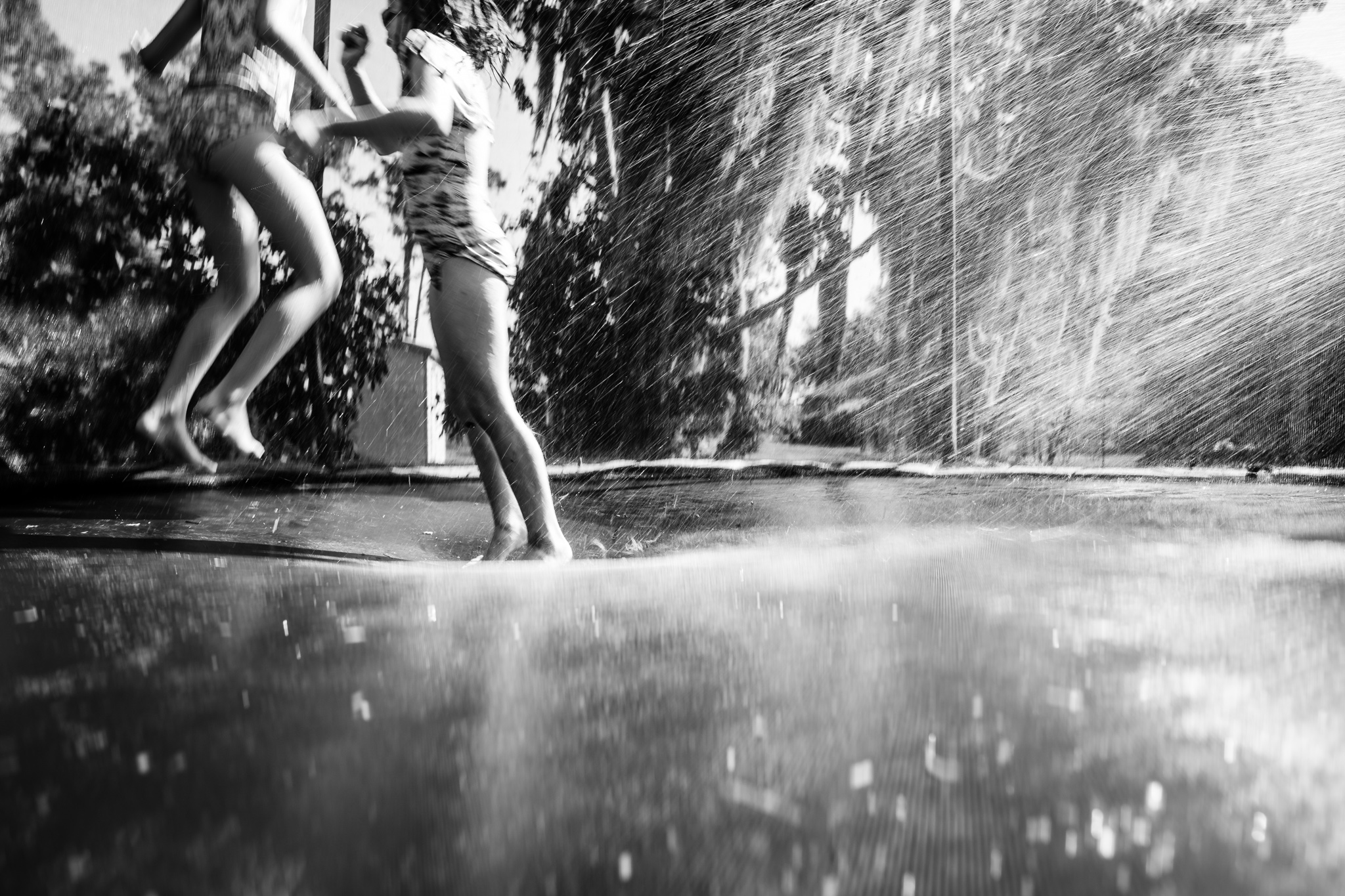 raleigh family photography